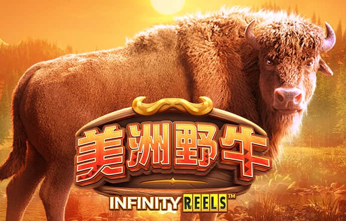 万博manbet网页版入口